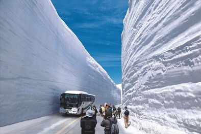 雪の大谷のイメージ画像